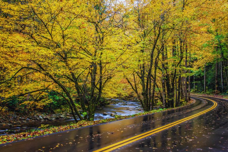 4 Tips for Visiting the Smoky Mountains This Fall